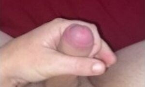 White male with a tender fat cock masturbating solo at home while his wife is at work.