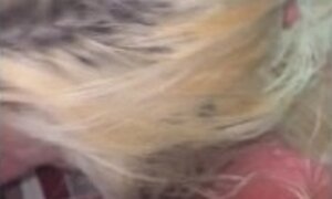 Blonde milf sucks life out of stud and begs to have cock in her tight ass without condom. he says ok